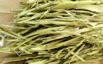 Кора осины и артериальное давление