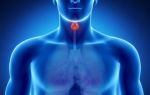 Щитовидная железа и высокое артериальное давление