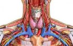 Щитовидная железа повышенное артериальное давление